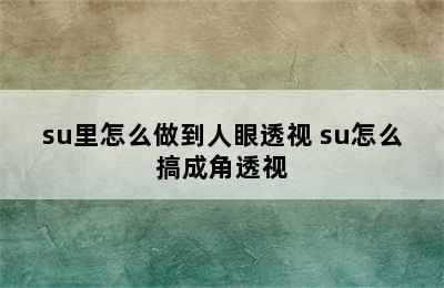 su里怎么做到人眼透视 su怎么搞成角透视